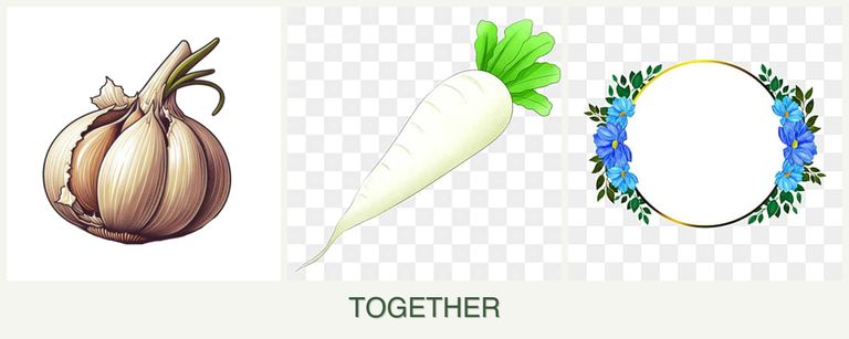 Can you plant garlic, radishes and zinnias together?