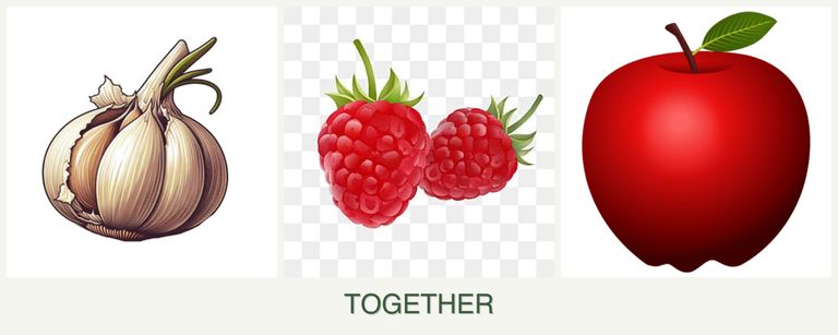 Can you plant garlic, raspberries and apples together?