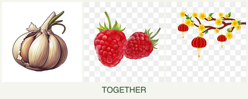 Can you plant garlic, raspberries and apricots together?