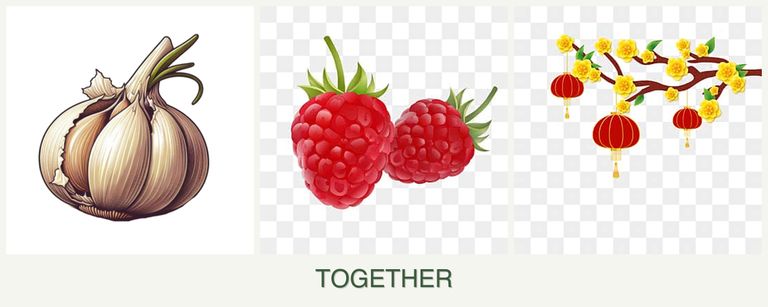 Can you plant garlic, raspberries and apricots together?