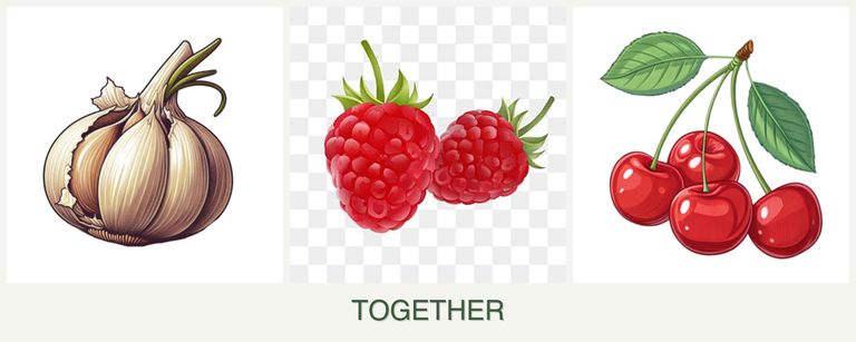 Can you plant garlic, raspberries and cherries together?