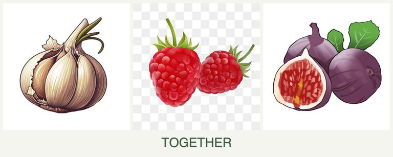 Can you plant garlic, raspberries and figs together?