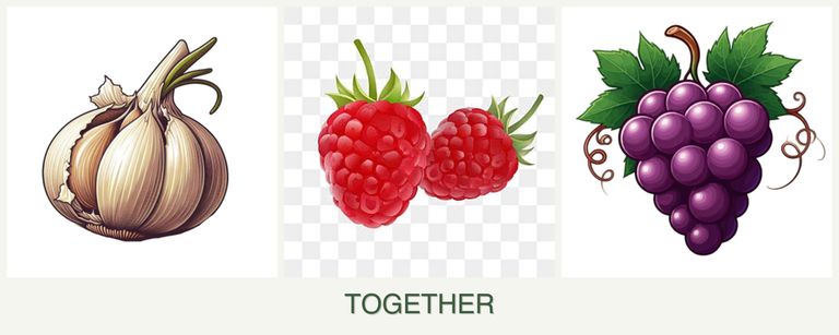 Can you plant garlic, raspberries and grapes together?