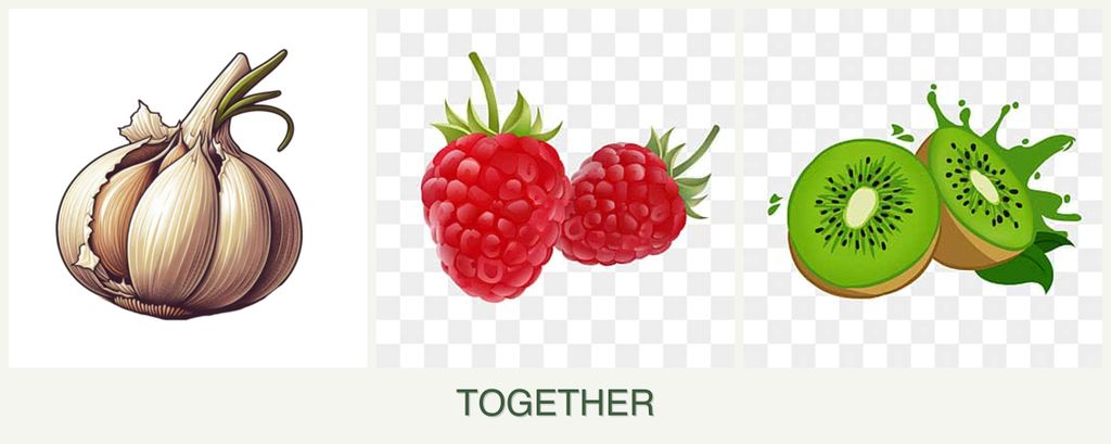 Can you plant garlic, raspberries and kiwi together?