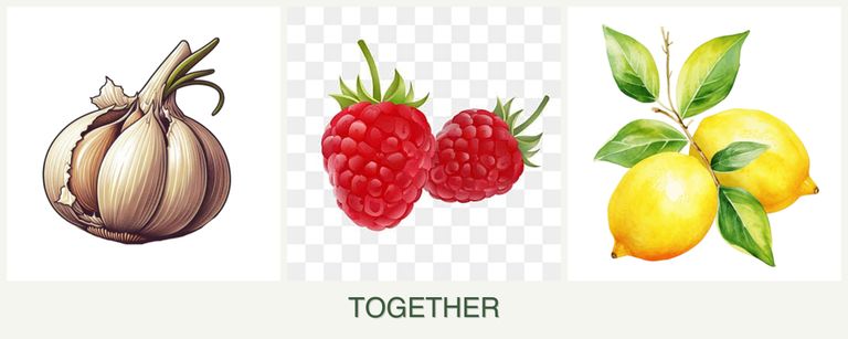 Can you plant garlic, raspberries and lemons together?