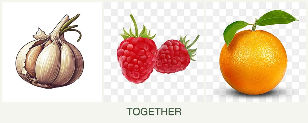 Can you plant garlic, raspberries and oranges together?