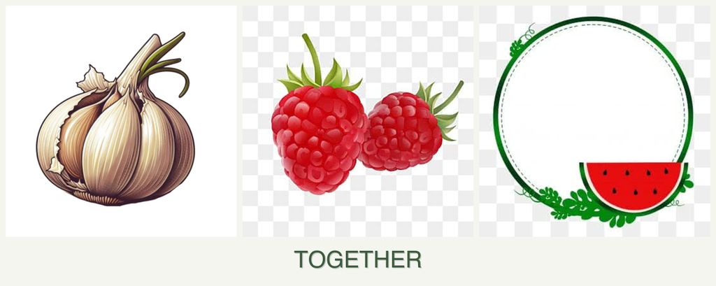 Can you plant garlic, raspberries and watermelons together?