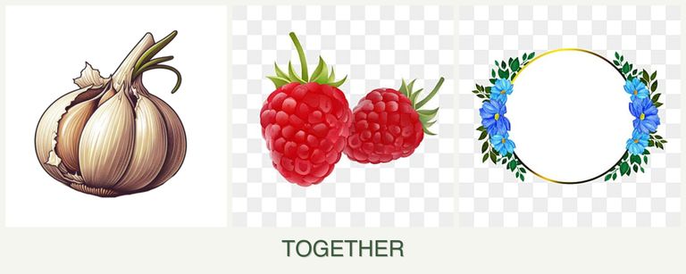 Can you plant garlic, raspberries and zinnias together?