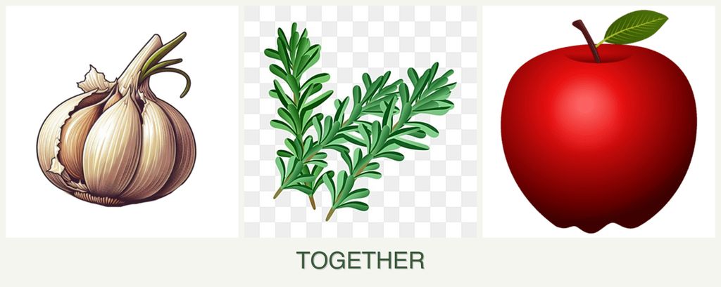 Can you plant garlic, rosemary and apples together?