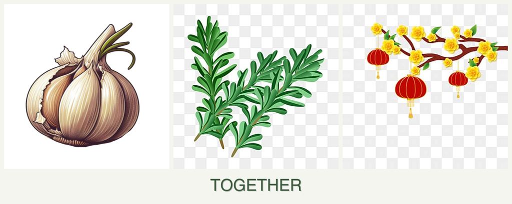 Can you plant garlic, rosemary and apricots together?