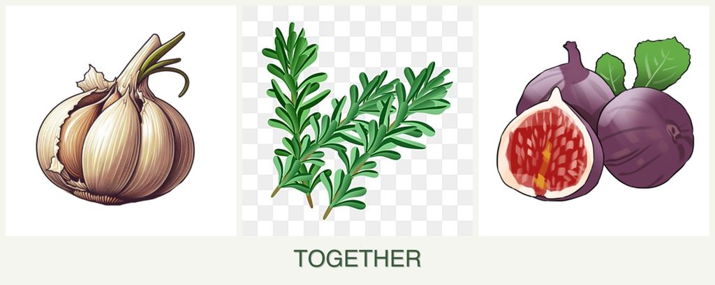 Can you plant garlic, rosemary and figs together?