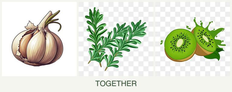 Can you plant garlic, rosemary and kiwi together?
