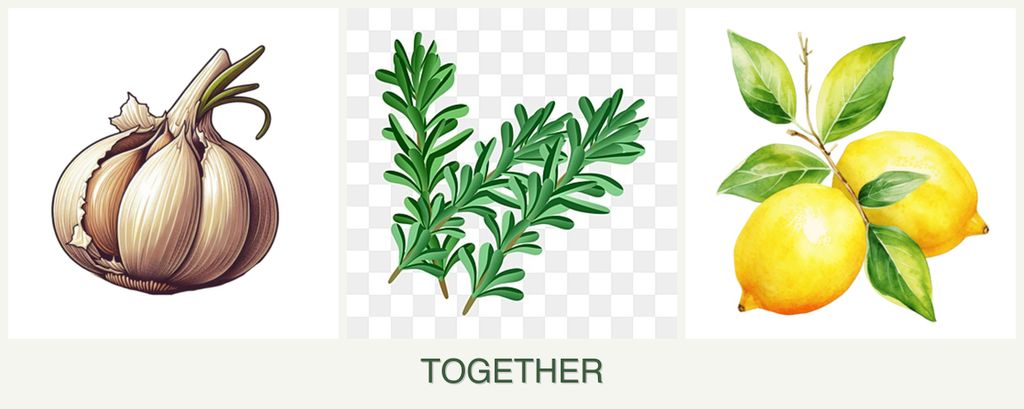 Can you plant garlic, rosemary and lemons together?