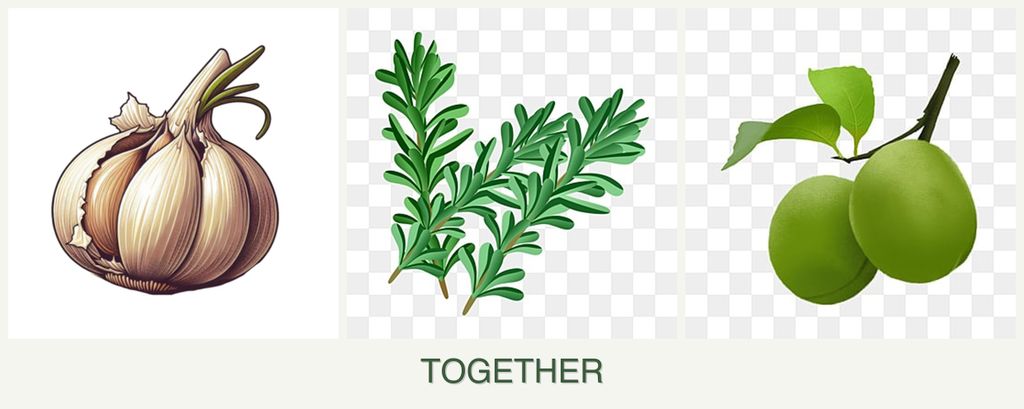 Can you plant garlic, rosemary and plums together?