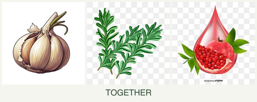Can you plant garlic, rosemary and pomegranates together?