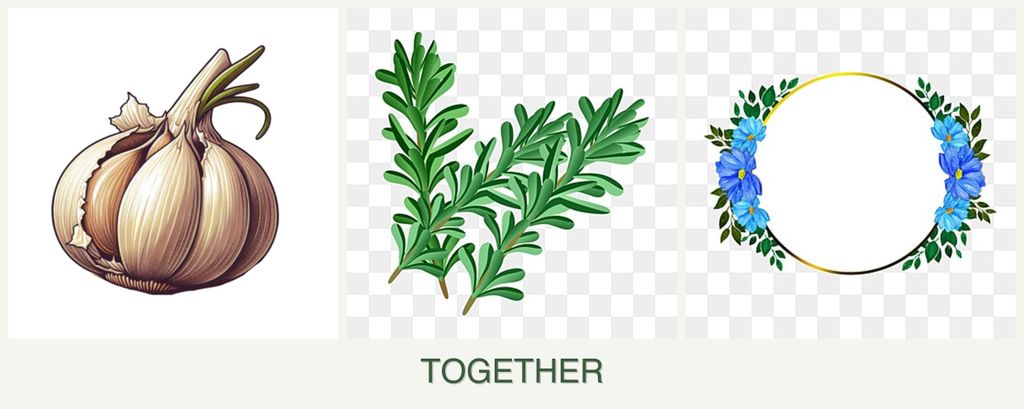 Can you plant garlic, rosemary and zinnias together?