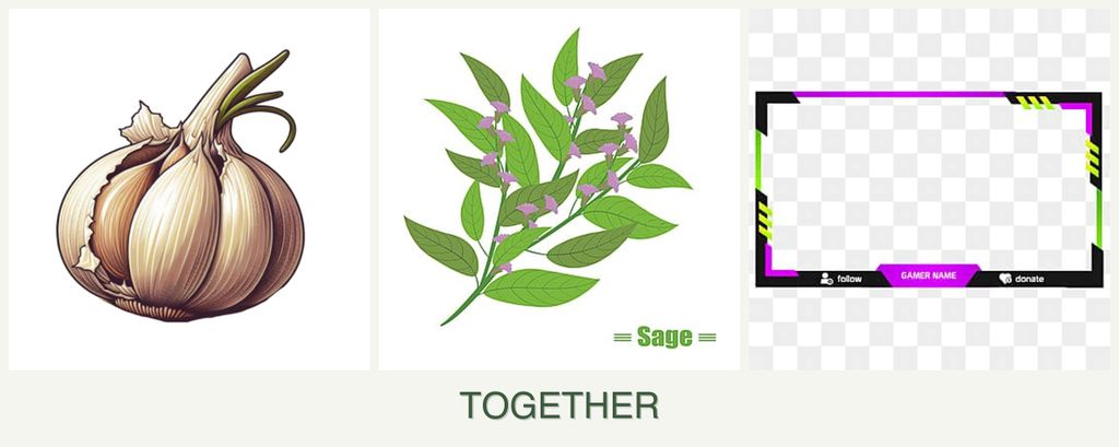 Can you plant garlic, sage and limes together?