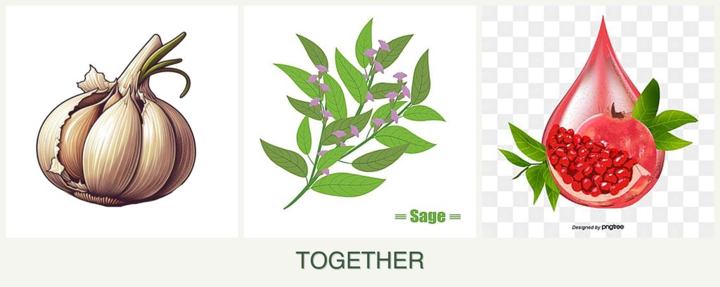 Can you plant garlic, sage and pomegranates together?