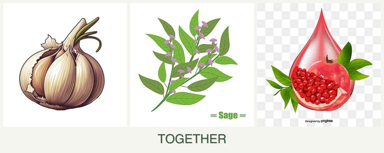 Can you plant garlic, sage and pomegranates together?