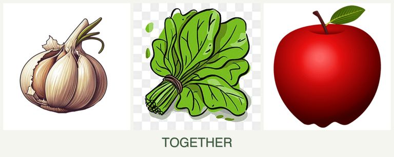 Can you plant garlic, spinach and apples together?