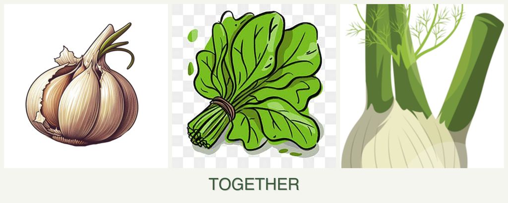 Can you plant garlic, spinach and fennel together?