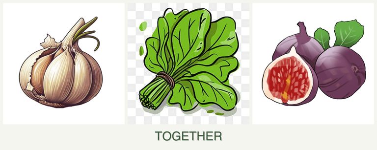 Can you plant garlic, spinach and figs together?