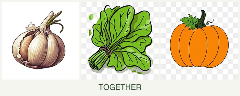 Can you plant garlic, spinach and pumpkin together?