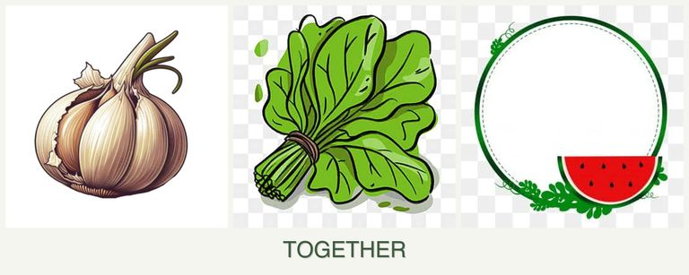 Can you plant garlic, spinach and watermelons together?