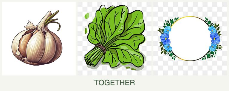 Can you plant garlic, spinach and zinnias together?