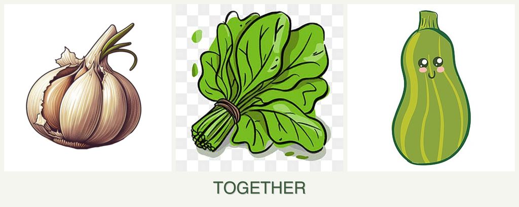 Can you plant garlic, spinach and zucchini together?
