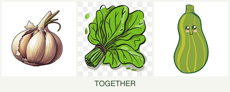 Can you plant garlic, spinach and zucchini together?