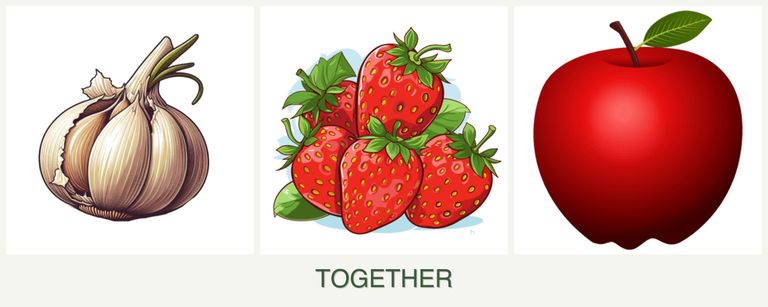 Can you plant garlic, strawberries and apples together?