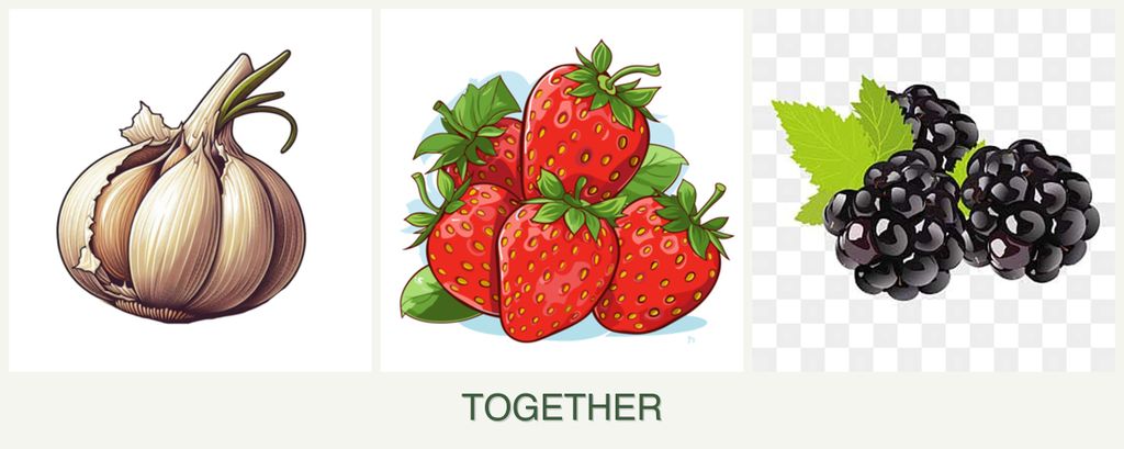 Can you plant garlic, strawberries and blackberries together?