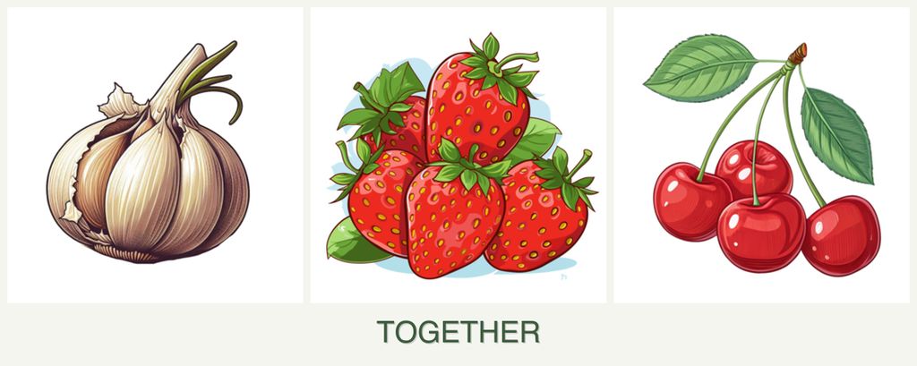 Can you plant garlic, strawberries and cherries together?