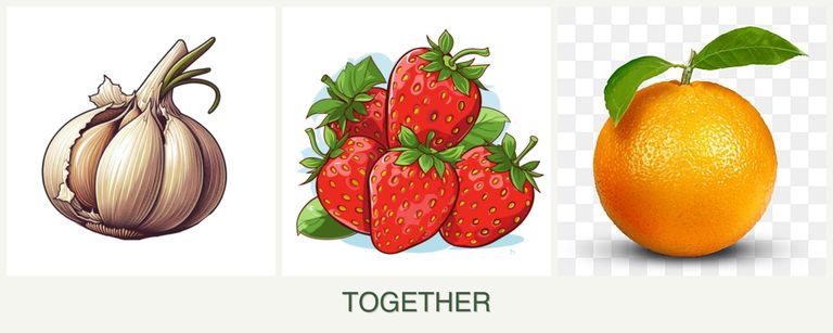Can you plant garlic, strawberries and oranges together?