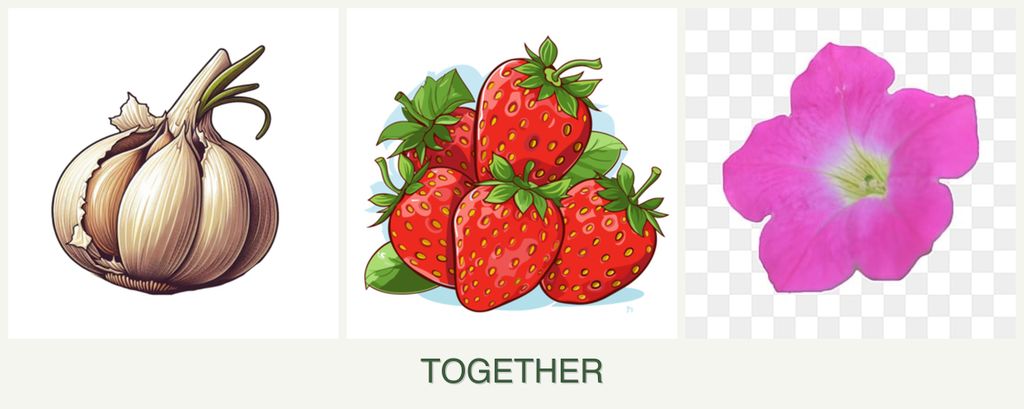 Can you plant garlic, strawberries and petunias together?