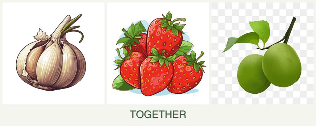 Can you plant garlic, strawberries and plums together?