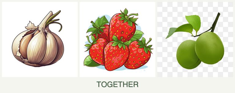 Can you plant garlic, strawberries and plums together?