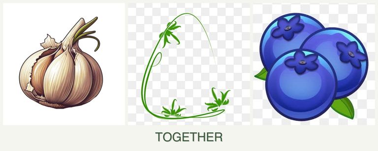 Can you plant garlic, tarragon and blueberries together?