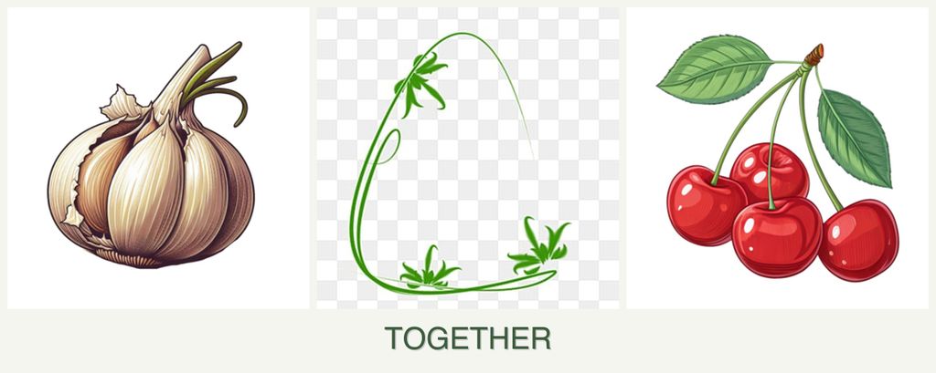 Can you plant garlic, tarragon and cherries together?