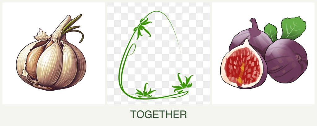 Can you plant garlic, tarragon and figs together?