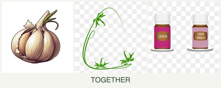 Can you plant garlic, tarragon and geraniums together?