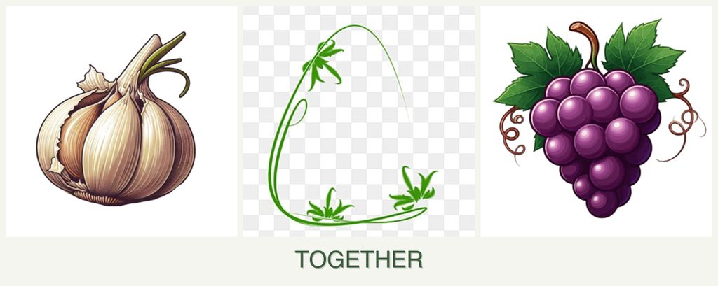 Can you plant garlic, tarragon and grapes together?