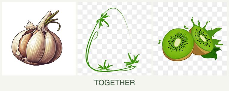Can you plant garlic, tarragon and kiwi together?
