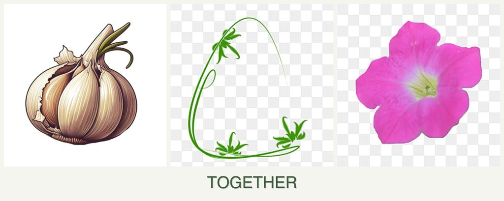Can you plant garlic, tarragon and petunias together?