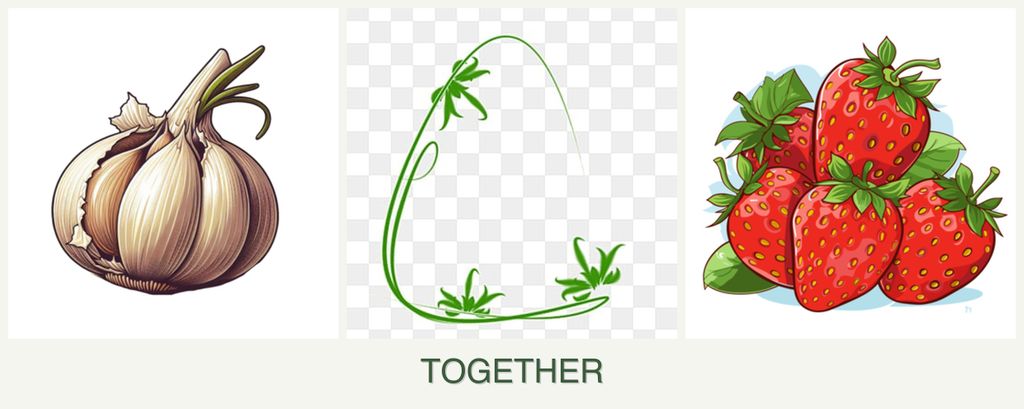 Can you plant garlic, tarragon and strawberries together?