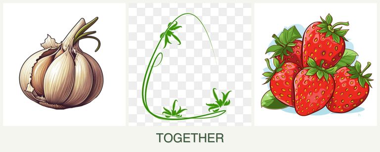 Can you plant garlic, tarragon and strawberries together?