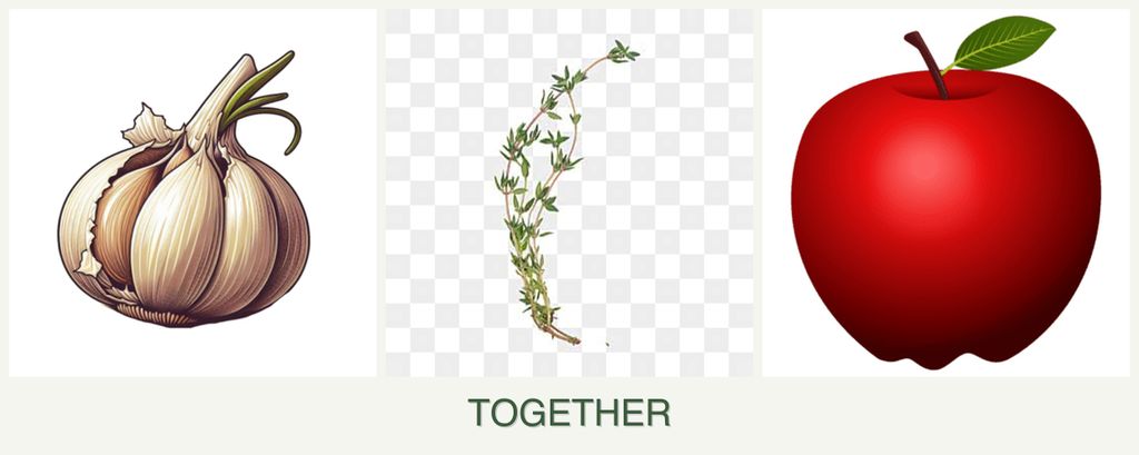 Can you plant garlic, thyme and apples together?