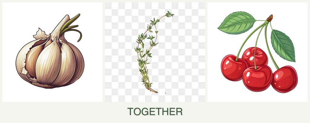 Can you plant garlic, thyme and cherries together?