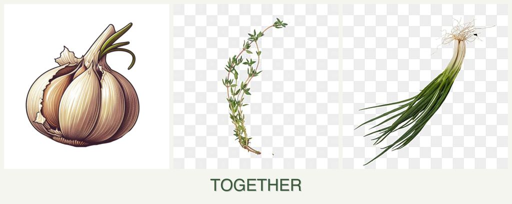 Can you plant garlic, thyme and chives together?